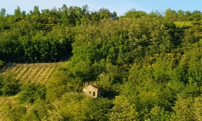 ID-10053 Acqui Terme
